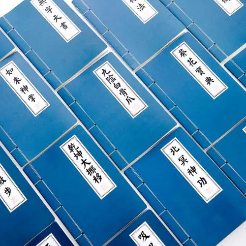 Vintage Chinese Kung Fu A5 Notebook – Martial Arts Script Design Novelty Notebook PRIMED By Random