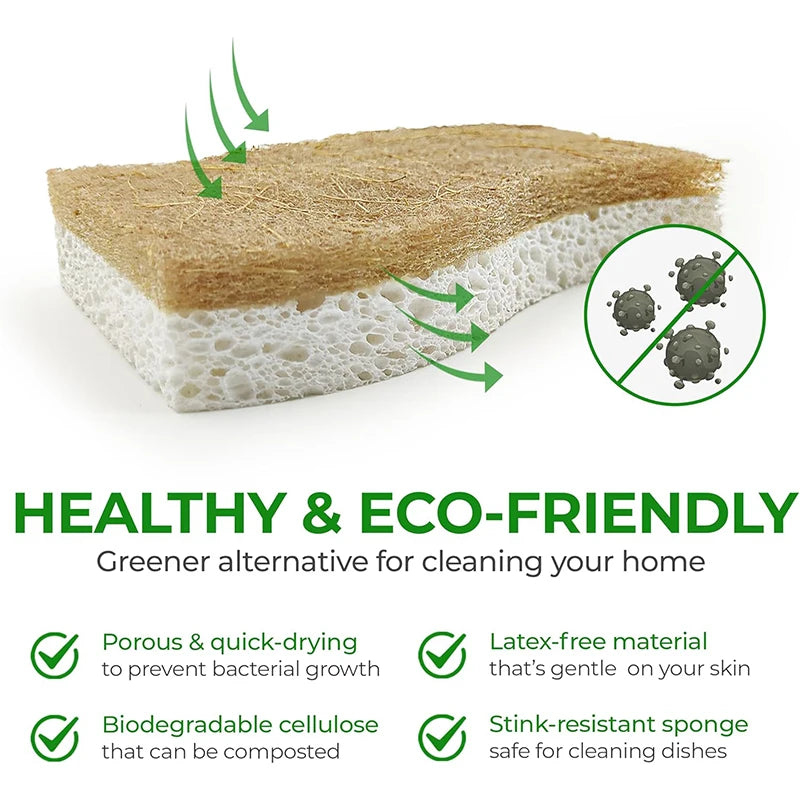 Natural Biodegradable Kitchen Sponges with Coconut Scrubber Kitchen Cleaning Sponge PRIMED
