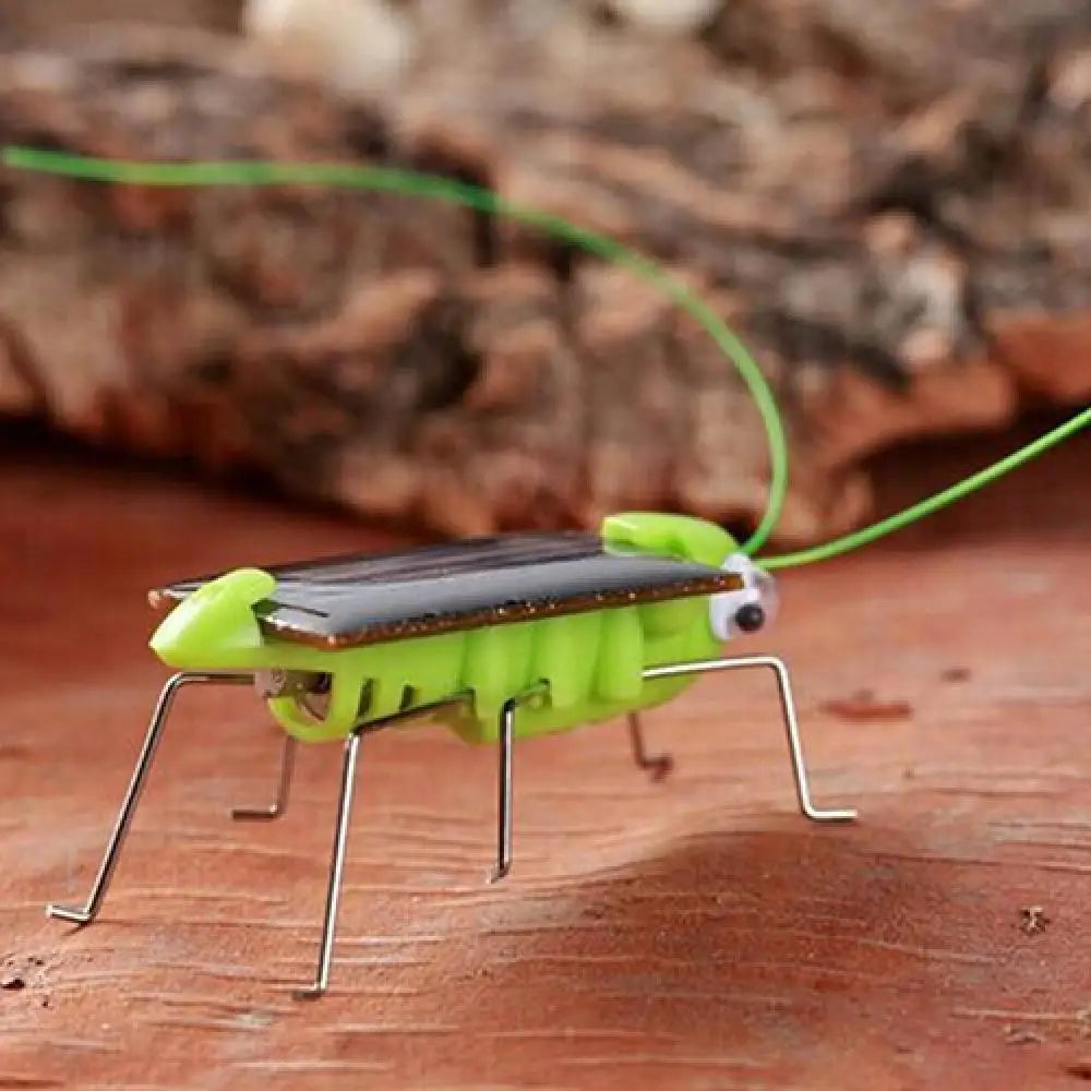 Solar-Powered Robot Grasshopper Kids Educational STEM Toy Educational STEM Toy PRIMED