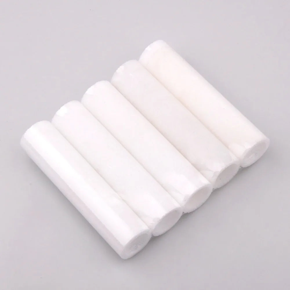 10-Pack Chemical Filter Fuji Frontier 330–590 | 376G03101 Minilab Printer Parts PRIMED