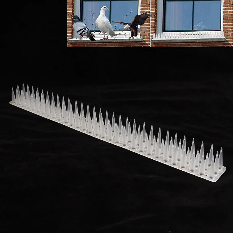 Transparent Plastic Bird & Cat Repellent Spikes | Garden Fence Bird Deterrent Spikes PRIMED