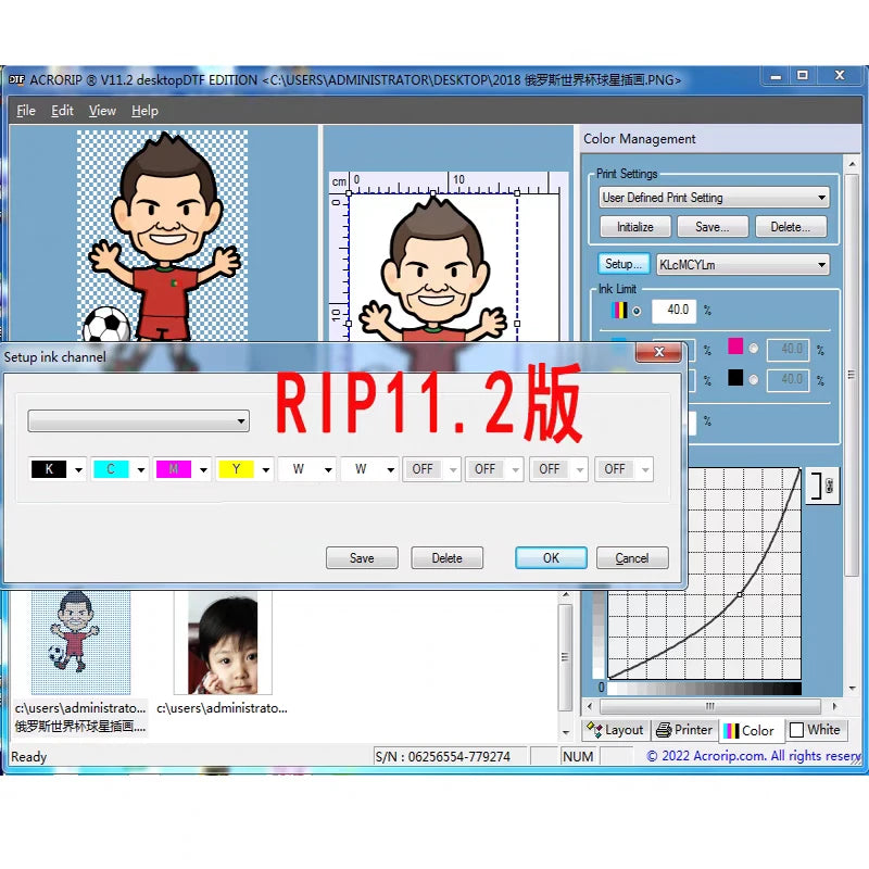 Digital Factory V11 RIP Software USB Dongle for Epson DTF Printers RIP Software Dongle PRIMED
