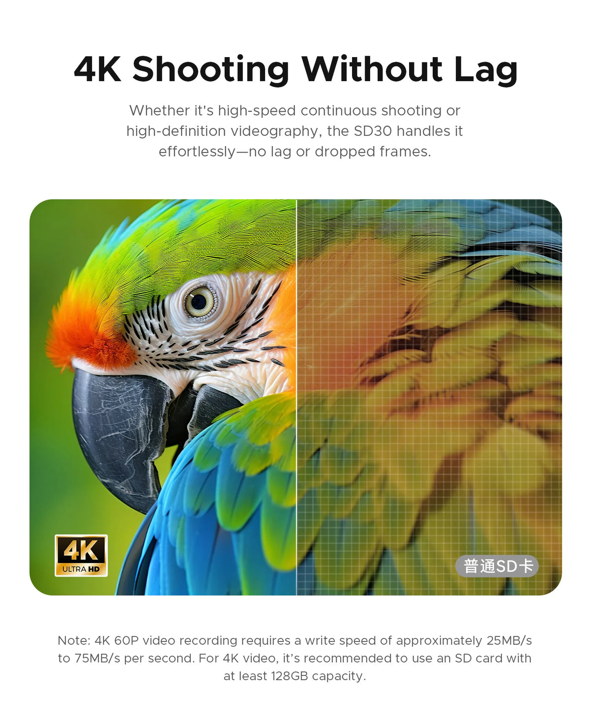 ORICO SD30 SDXC Memory Card U3 V30 4K | Up to 90MB/s SD Memory Card PRIMED
