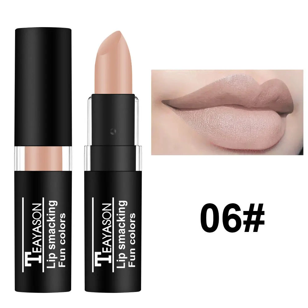 TEAYASON Matte Lipstick 12 Colors Waterproof Long-Lasting Lip Stain