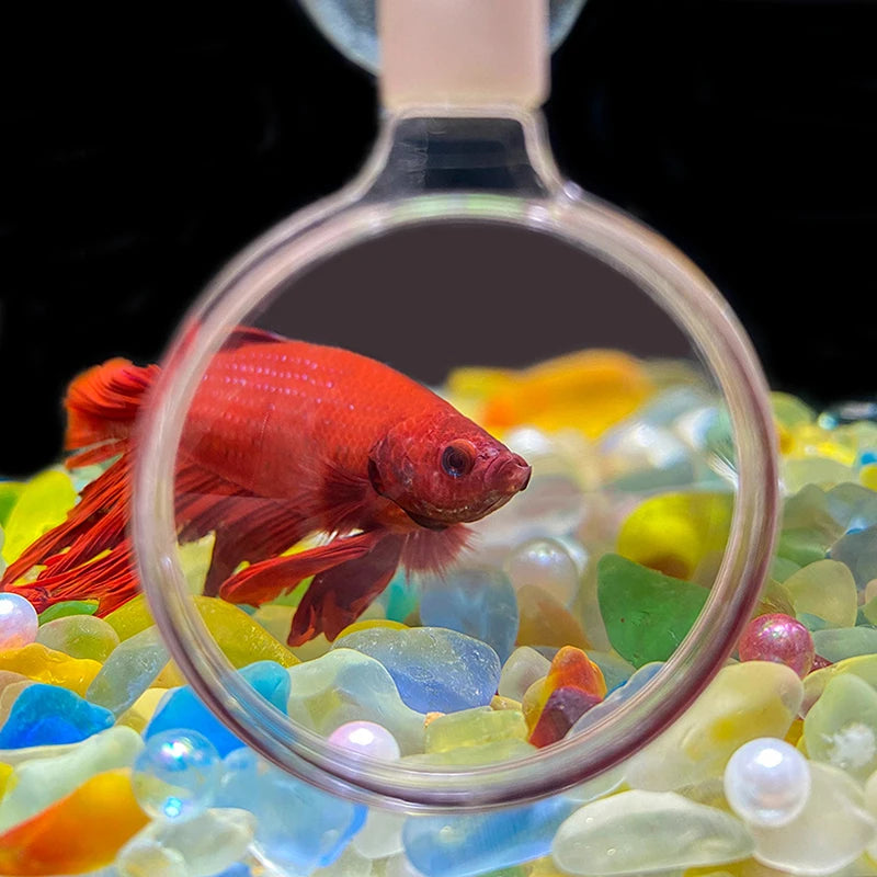 Aquarium Magnifier Acrylic Suction Cup Fish Tank Viewer