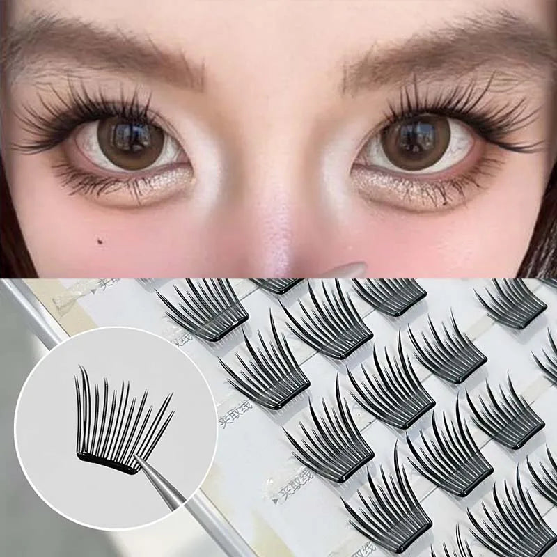 DIY Cluster Lashes – Glue-Free Natural False Eyelashes False Eyelashes PRIMED