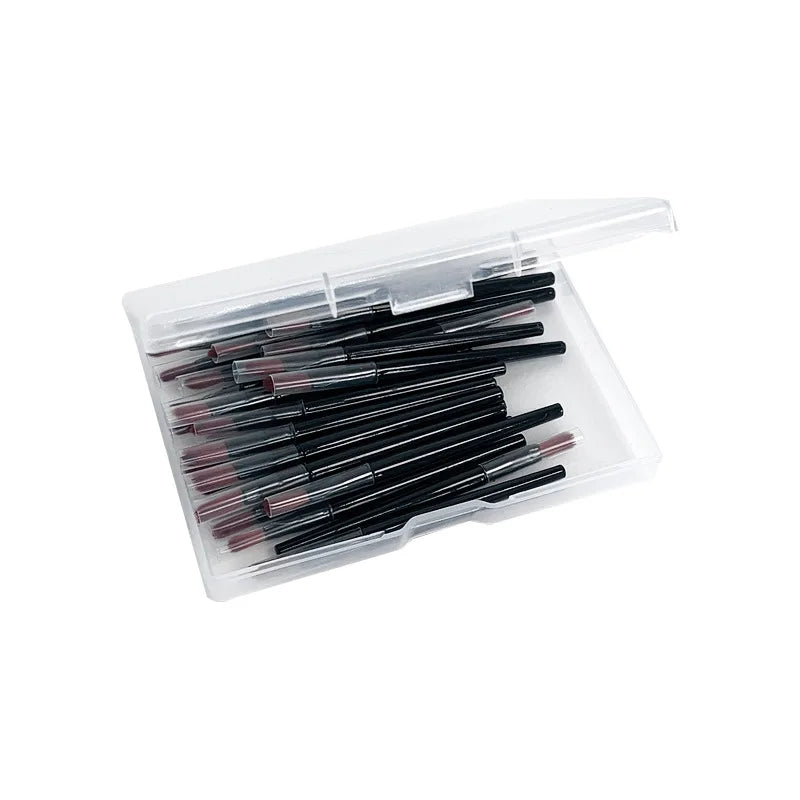 30-Piece Disposable Lip & Concealer Makeup Brush Set