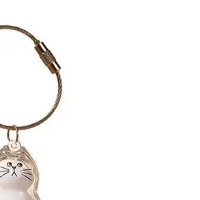 Kawaii Cat Capsule Keychain – Pet Hair Keepsake Storage Box Pet Keepsake Keychain PRIMED