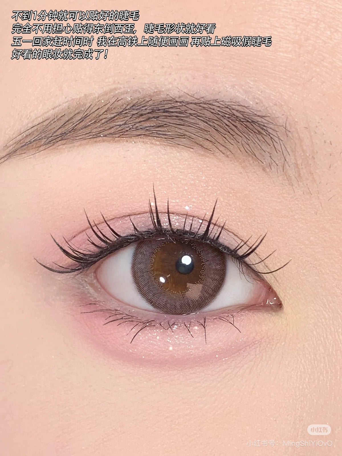 Magnetic False Eyelashes – No Adhesive Reusable Lash Clip Magnetic False Eyelashes PRIMED