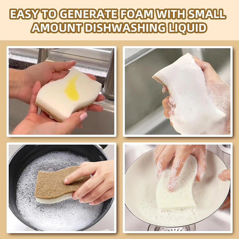 Natural Biodegradable Kitchen Sponges with Coconut Scrubber Kitchen Cleaning Sponge PRIMED