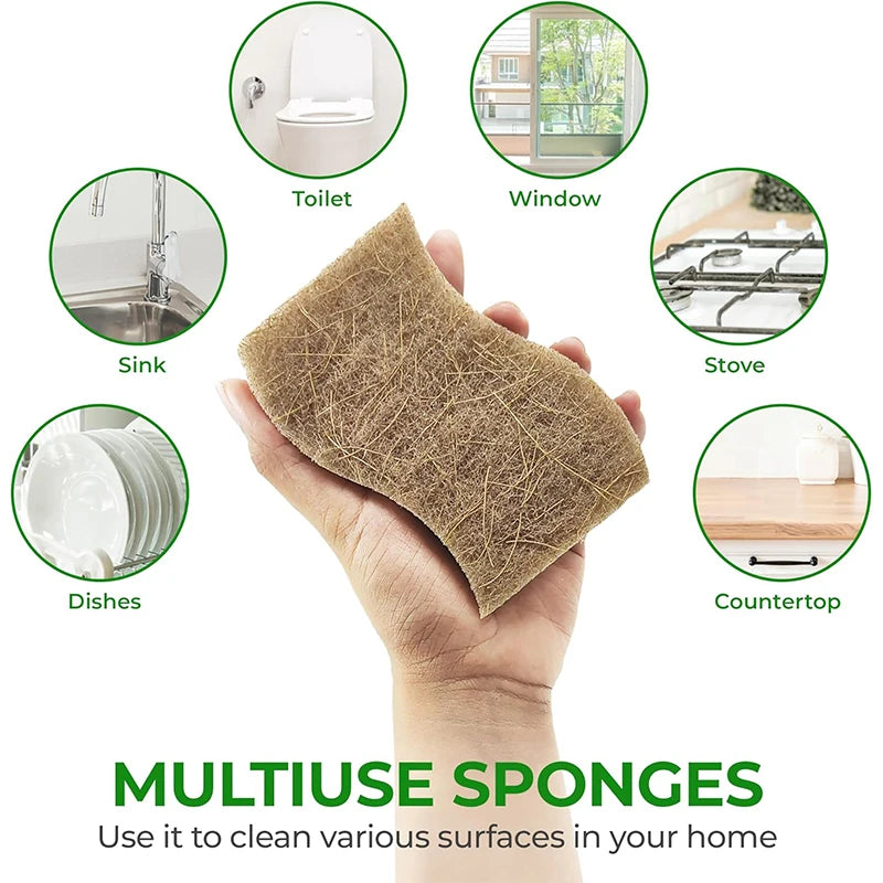Natural Biodegradable Kitchen Sponges with Coconut Scrubber Kitchen Cleaning Sponge PRIMED