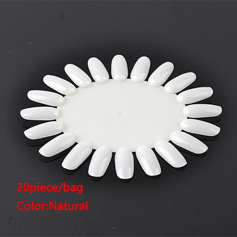 Nail Color Display Board & Practice Wheel – 20 Acrylic Tips