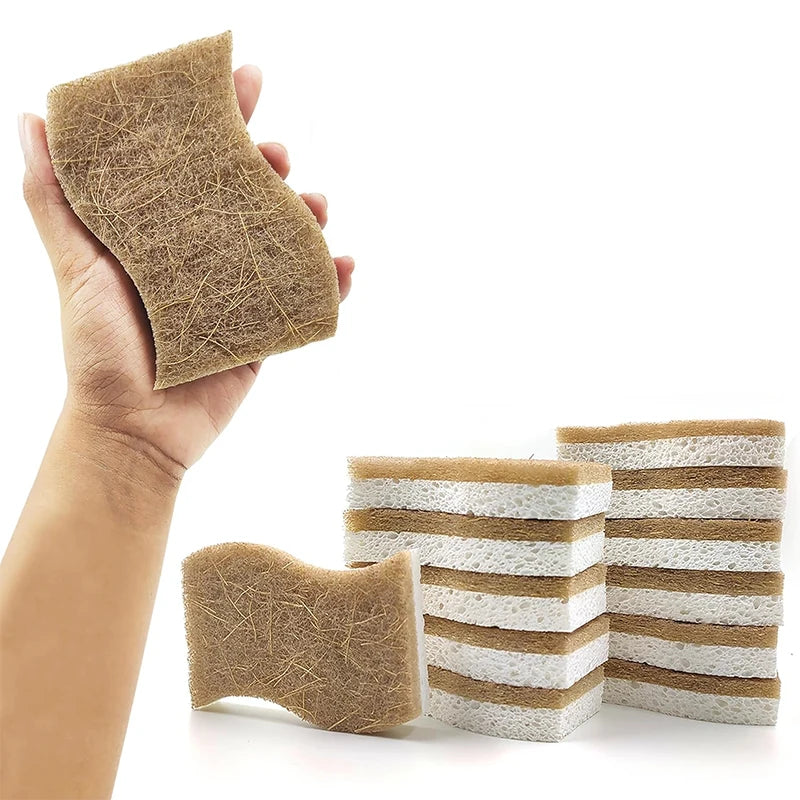 Natural Biodegradable Kitchen Sponges with Coconut Scrubber Kitchen Cleaning Sponge PRIMED