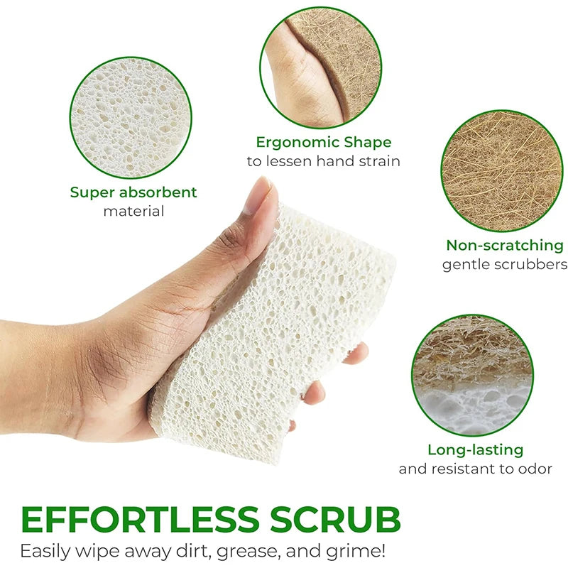 Natural Biodegradable Kitchen Sponges with Coconut Scrubber Kitchen Cleaning Sponge PRIMED