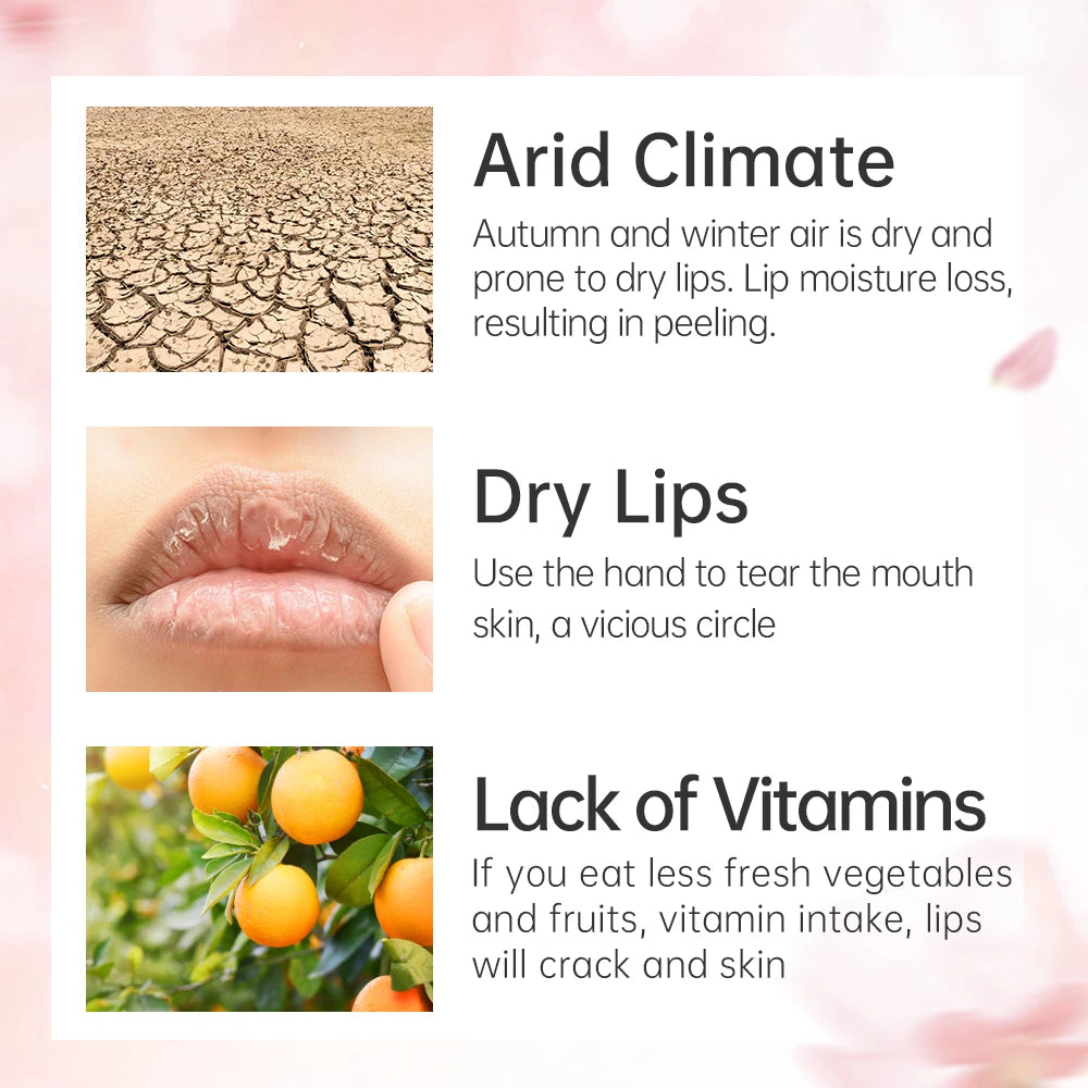CATKIN Tinted Lip Balm – Moisturizing Color-Glow Lip Care Tinted Lip Balm PRIMED