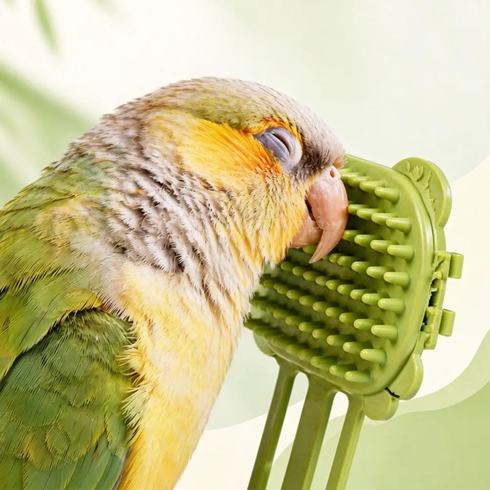 TPE Bird Grooming Scratcher Toy – Budgie, Cockatiel, Parrot Bird Grooming Toy PRIMED