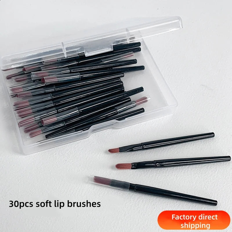 30-Piece Disposable Lip & Concealer Makeup Brush Set