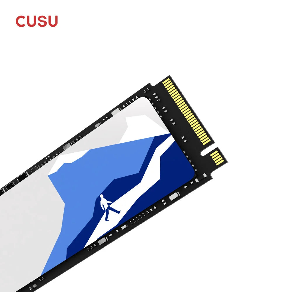 CUSU NVMe M.2 SSD 256GB–2TB PCIe 3.0 Internal Drive NVMe M.2 SSD PRIMED CV3500Q 1TB China Mainland